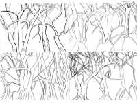 2er Zeichnung (Olivenbäume)