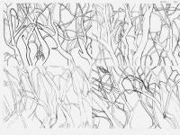 2er Zeichnung (Olivenbäume)