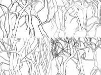 3d/2d Preface